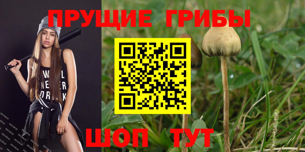 Кимовск  Галлюциногенные грибы MAGIC MUSHROOMS  Псилоцибиновые грибы ЛСД  Вход с VPN 